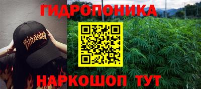 сатива Апшеронск