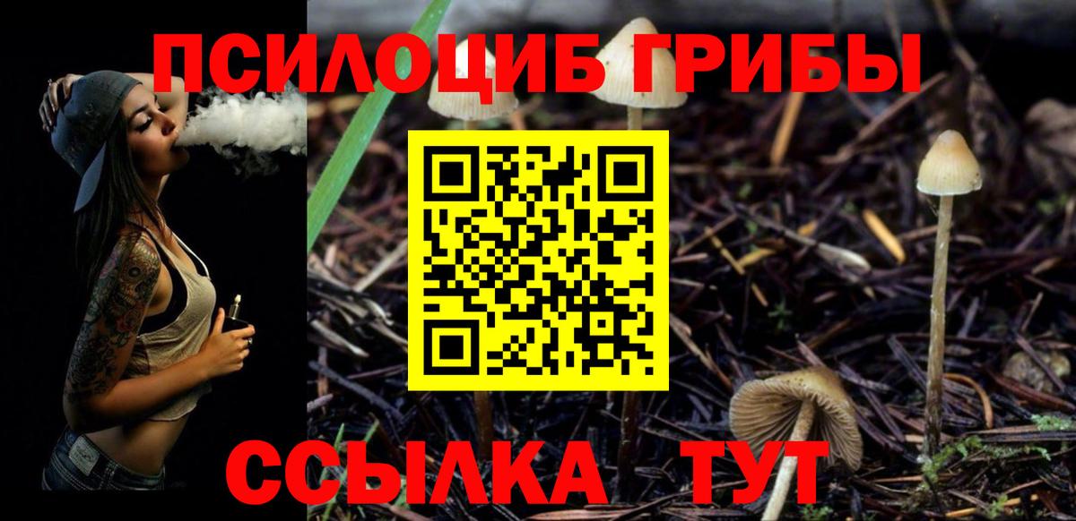 Березники  купить наркотики цена  Галлюциногенные грибы мухоморы  Вход с VPN  Галлюциногенные грибы ЛСД 